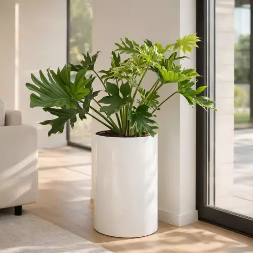 Donica ZADORA Classic D101C biały połysk