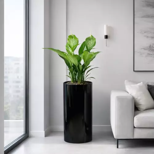 Donica ZADORA Classic D101D czarny połysk