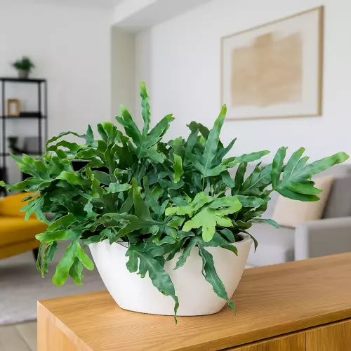 Donica z włókna szklanego D108A biały połysk