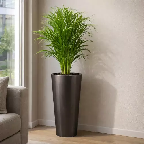 Donica ZADORA Classic D208C grafitowy metalik