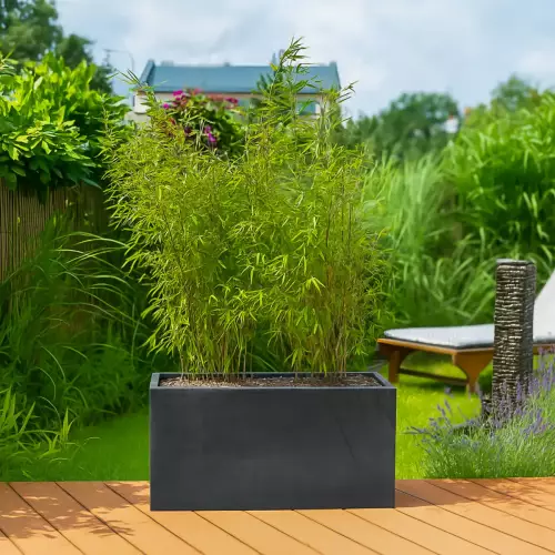 Donica tarasowa D834 grafitowy beton