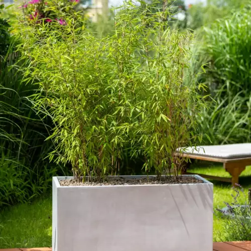 Donica jak z betonu - ZADORA Classic D834 w kolorze szary beton