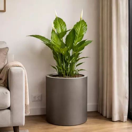 Donica ZADORA Premium D901D Ø60x60 cm szary mat