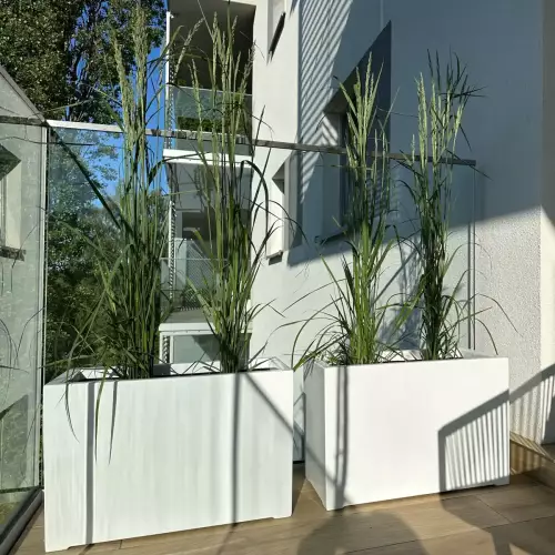 Trawy w białej matowej donicy D934A na tarasie