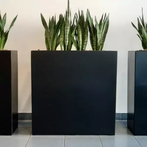 Czarna matowa donica D972A w biurze