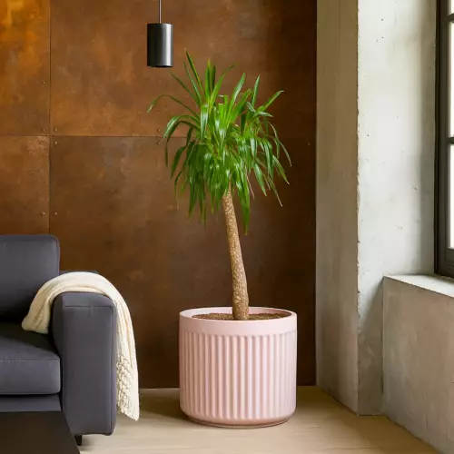 Donica z włókna szklanego LEO37 różowy mat