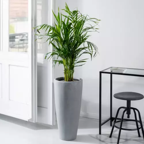 Szarobetonowa donic D282C Ø32x66 cm