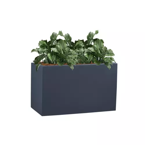 Zielistka w antracytowej donicy D272S 60x31x35 cm