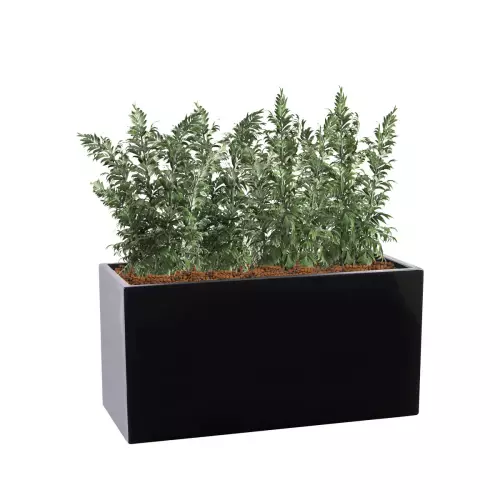 Czarna donica D313D 100x40x50 cm z roślinami