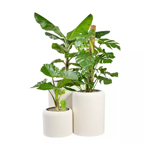 Komplet donic ZADORA Classic AMBIENTE biały beton