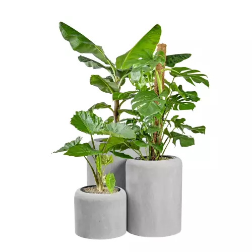 Komplet donic ZADORA Classic AMBIENTE szary beton