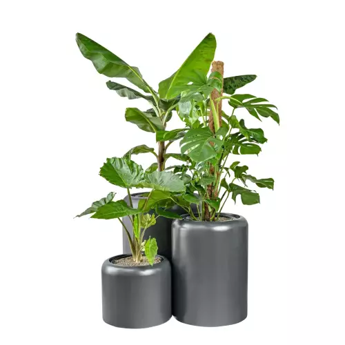 Komplet donic ZADORA Classic AMBIENTE antracyt mat