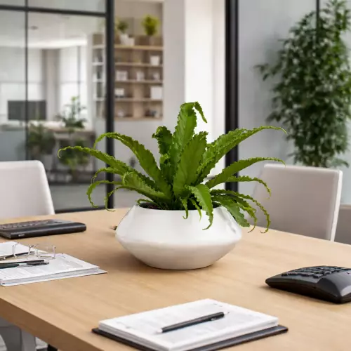 Doniczka PAUNCH 17 w kolorze biały mat na stole