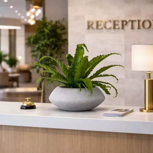 Doniczka PAUNCH 17 w kolorze szary beton w hotelu