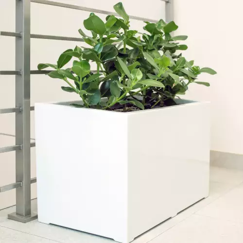 Donica D934B biały połysk na klatce schodowej