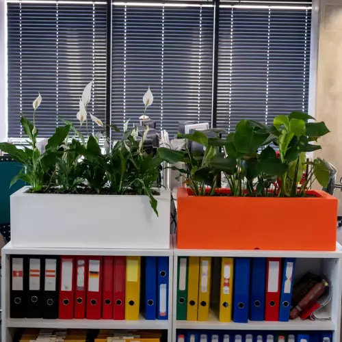 Pomarańczowa i biała donica Office Pot w biurze