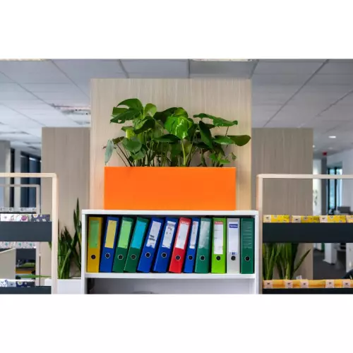 Monstera w pomarańczowej donicy Office Pot na szafce biurowej