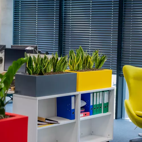 Różnokolorowe donice Office Pot z roślinami