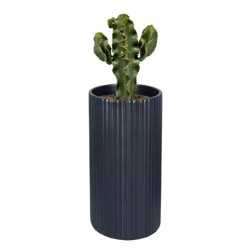 Kaktus w donicy RC80 antracyt mat