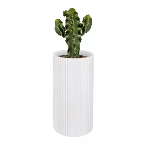 Kaktus w donicy RC80 biały mat