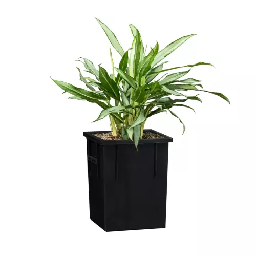 Opcjonalny wyjmowany wkład SWIP 21x26 cm