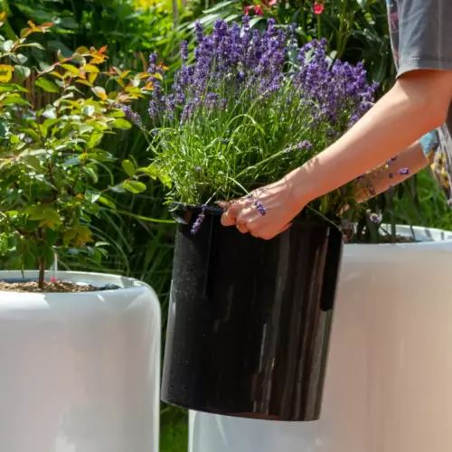 Wyjmowany wkład SWIP 31x33 cm w donicy AMBIENTE 35