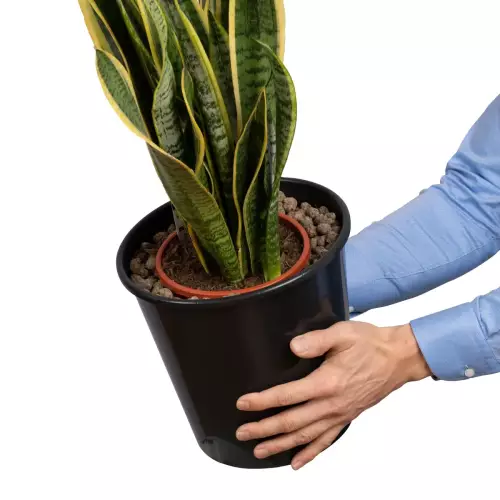 Wkład jako osłonka do donicy produkcyjnej