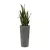 Sansevieria w donicy D208C antracyt mat