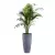 Areca w donicy D282D grafitowy beton