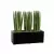 Sansevieria cylindrica w czarnej matowej donicy D972B