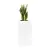 Sansevieria w białej matowej doniczce D973A