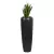 Sansevieria Laurenti w donicy D982H