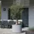 Oliwka w donicy D101ED szary beton