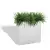 Biała donica D272C z trawami ozdobnymi