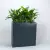 Skrzydłokwiaty w antracytowej donicy Zadora Premium D972A