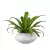 Asplenium w doniczce PAUNCH 17 szary beton