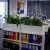 Skrzydłokwiaty w białych donicach Office Pot w biurze