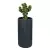 Kaktus w donicy RC80 antracyt mat