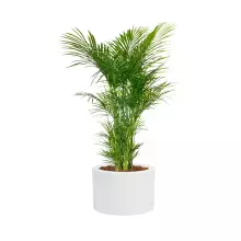 Donica z włókna szklanego D901A biały połysk