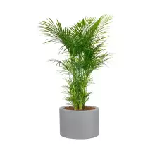 Donica z włókna szklanego D901A szary mat