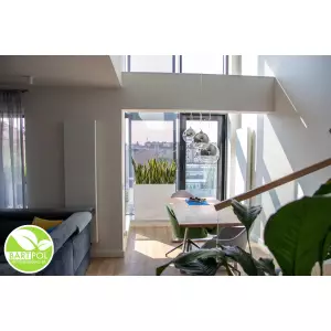 Donica D272A biały połysk z Sansevieria Laurenti