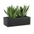 Sansevieria w czarnej donicy OFFICE POT