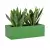 Sansevieria w limonkowej donicy OFFICE POT