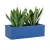 Sansevieria w niebieskiej donicy OFFICE POT