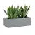 Sansevieria w szarej donicy OFFICE POT