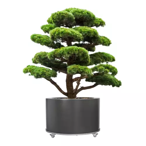 Stalowa podstawa na kółkach z hamulcem do donic okrągłych