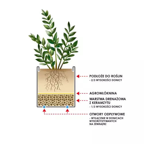 Schemat sadzenia w donicy D92B