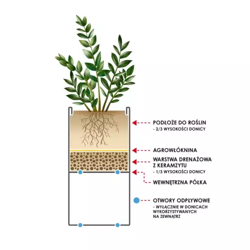 Schemat sadzenia w donicy D7087D