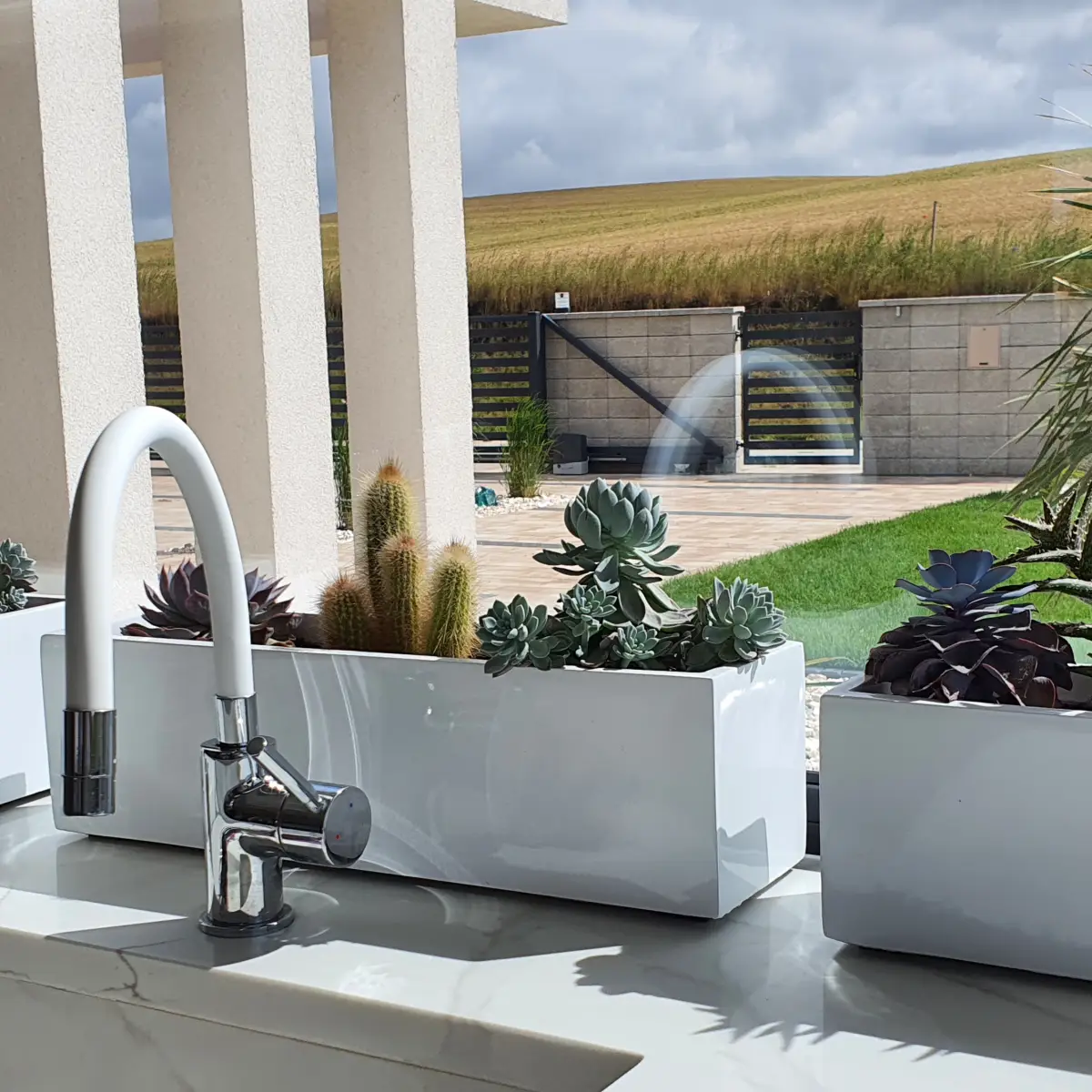 Jakie kwiaty do kuchni?