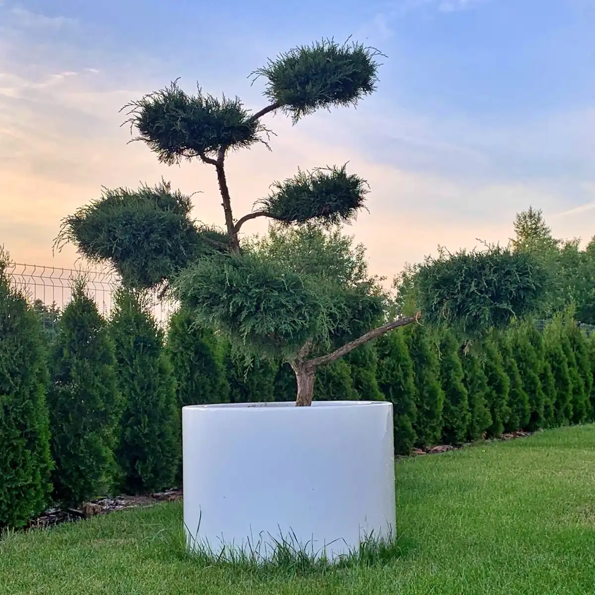 Duże donice – prosty sposób na radykalną zmianę w Twoim otoczeniu.